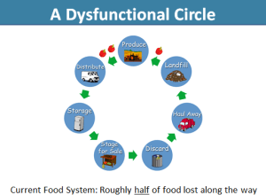 Dysfunctional circle