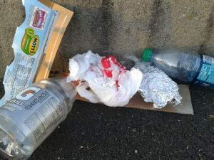 landfill trash 2013-11-21 07