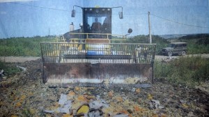 Collaborate or retaliate pic 2015-09-29