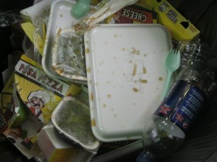 Food and Plastic Waste