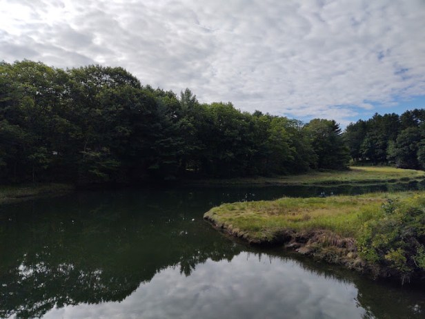 August post - overshoot